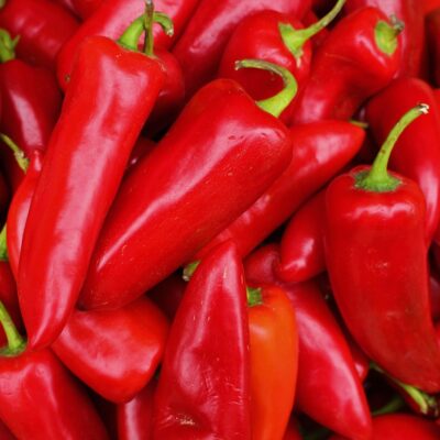 Rogate paprike - koničastoplodne