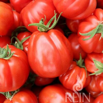 plodovi paradižnika