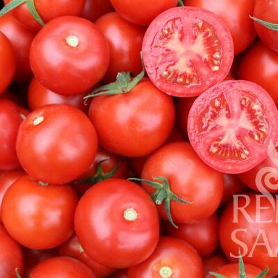 plodovi paradižnika